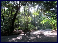 Meji Shrine Garden